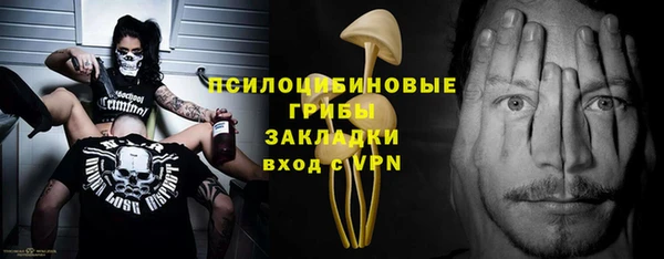 эйфоретик Козельск