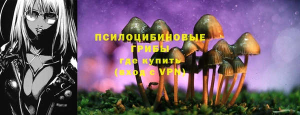 тгк Фёдоровский