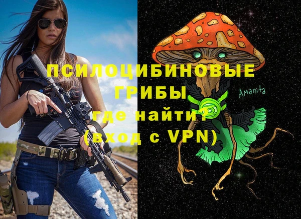тгк Фёдоровский