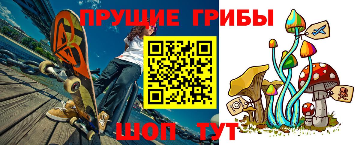 Химки  Псилоцибиновые грибы Psilocybe  Вход с VPN 