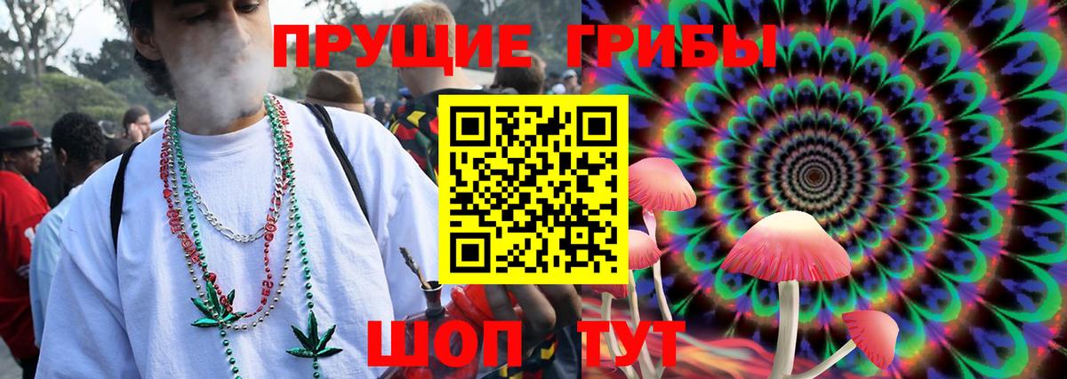 Галлюциногенные грибы прущие грибы  Химки 