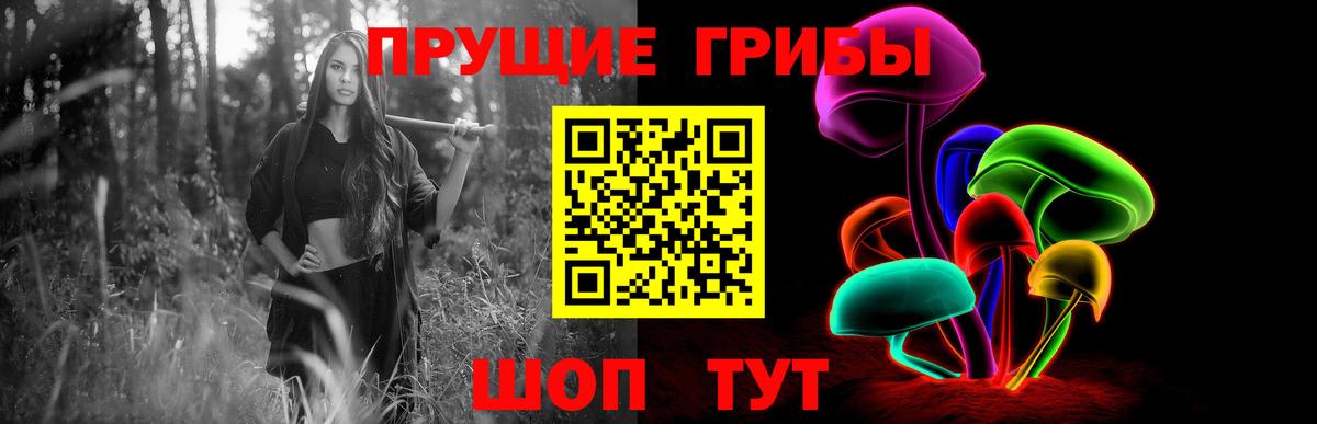 Галлюциногенные грибы Psilocybe Химки